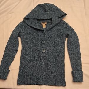 Arizona Jean Company Blue Kids Sweater